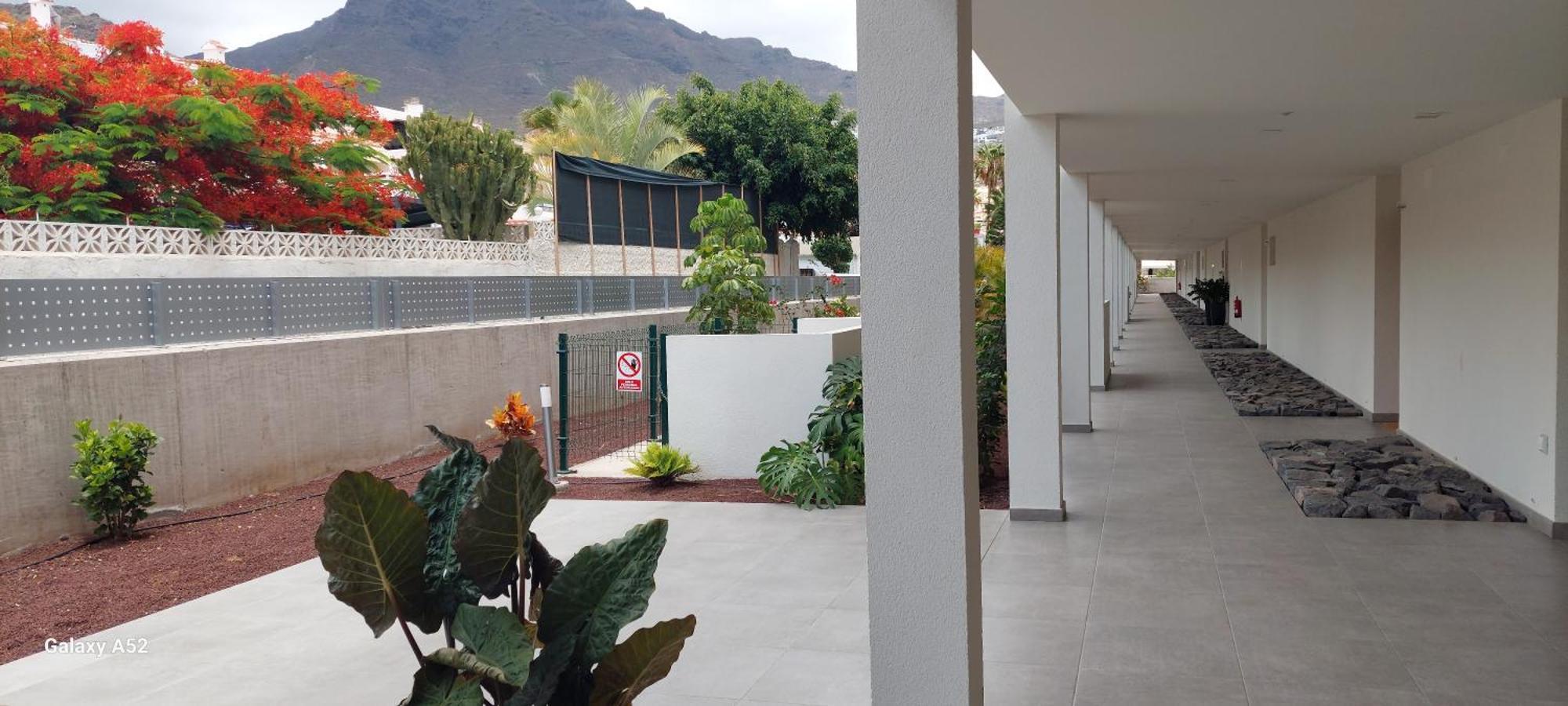 Terrazas Favorite Place Apartamento *